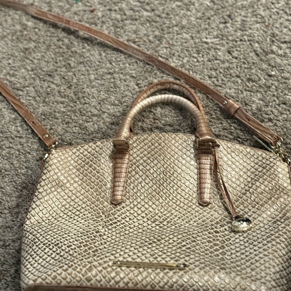 Brahmin Striped Interior Bag